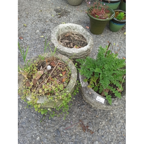 82 - 3 x Concrete Planters with Similar Design - Damage to the top edge of one