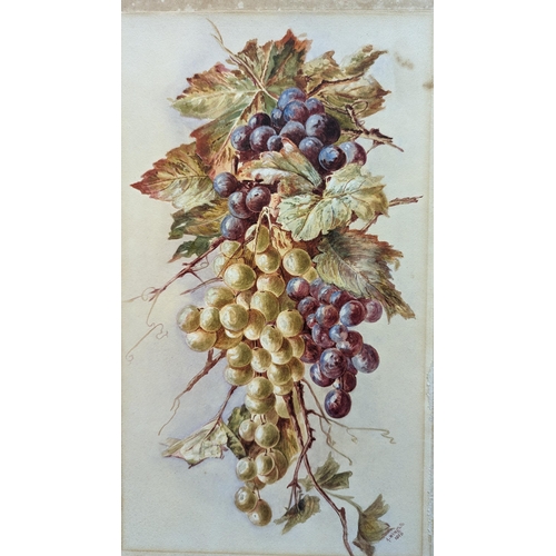 1134 - An Original Work, Unframed of grapes on the vine