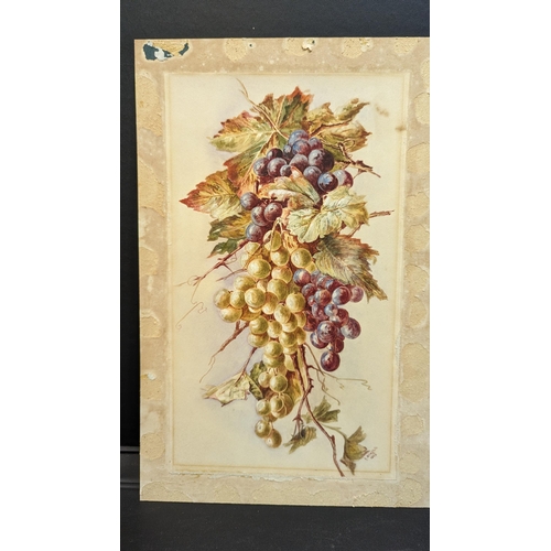 1134 - An Original Work, Unframed of grapes on the vine