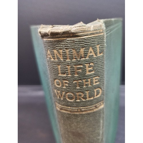 1110 - Animal Life of the World Book