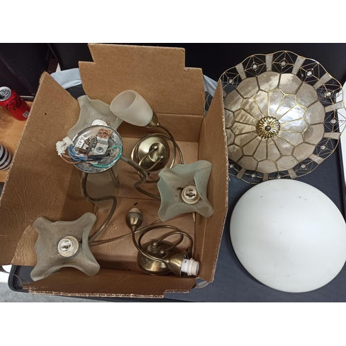 1264 - A Selection of Ceiling and Wall Lamps/ Light Fittings with Shades  inc. Brass Effect fittings