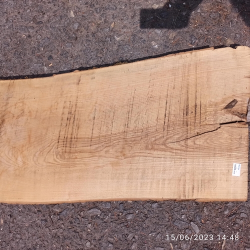 76 - A Length of Ash Timber 3.1m