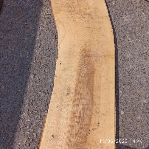 76 - A Length of Ash Timber 3.1m