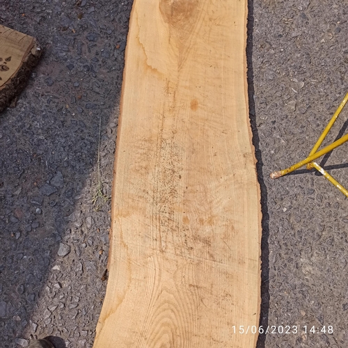 76 - A Length of Ash Timber 3.1m