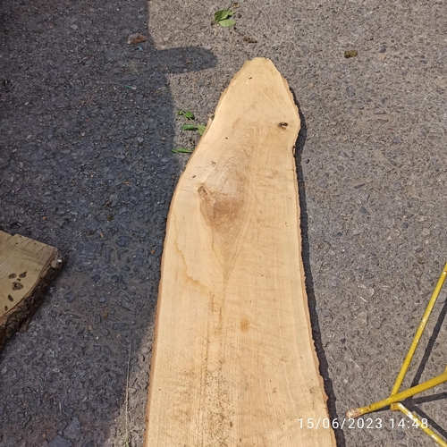 76 - A Length of Ash Timber 3.1m