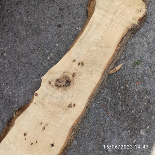 77 - A Length of Ash Timber 3.1m