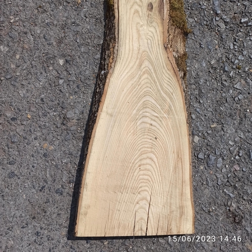 78 - A Length of Ash Timber 3.1m