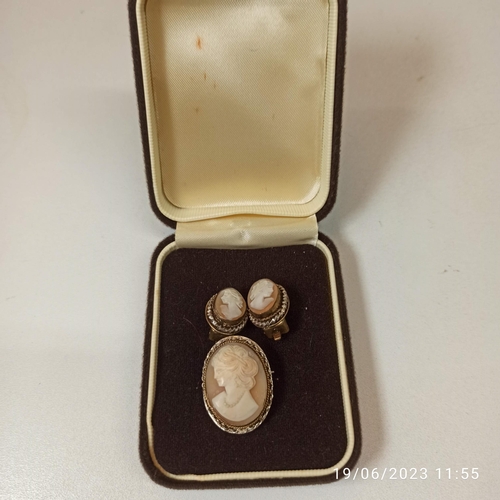 747 - A Cameo Set of a Brooch and Earrings