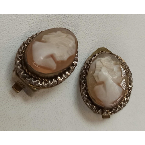 747 - A Cameo Set of a Brooch and Earrings