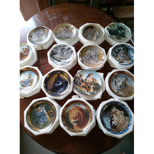 564B - An Assortment of Tiger Collectors Plates