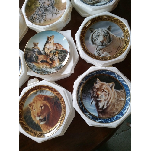 564B - An Assortment of Tiger Collectors Plates