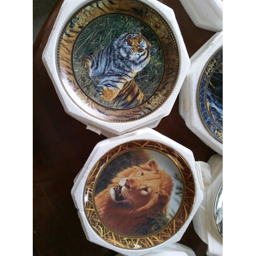 564B - An Assortment of Tiger Collectors Plates