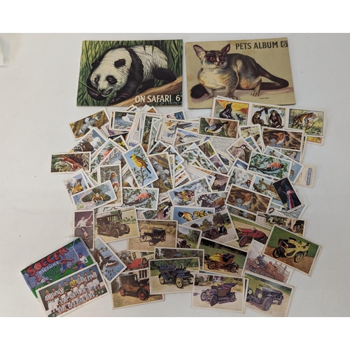 676B - An Assortment of Vintage PG Tips and Other Collectors Cards Including 