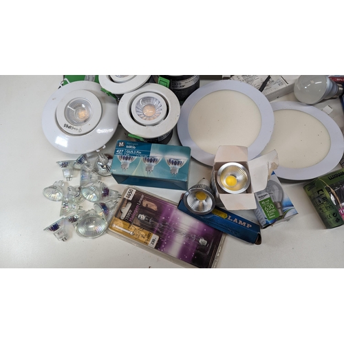 240E - Led Floodlight and a Large Assortment of LED Bulbs and Light Fittings