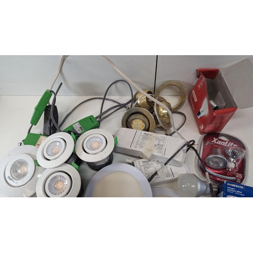 240E - Led Floodlight and a Large Assortment of LED Bulbs and Light Fittings