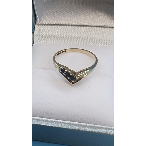 422 - A 9ct Gold and Sapphire Ring