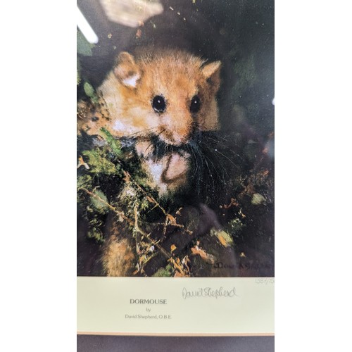 395 - A Signed Limited Edition Print of a Dormouse By David Shepherd 1387/1500