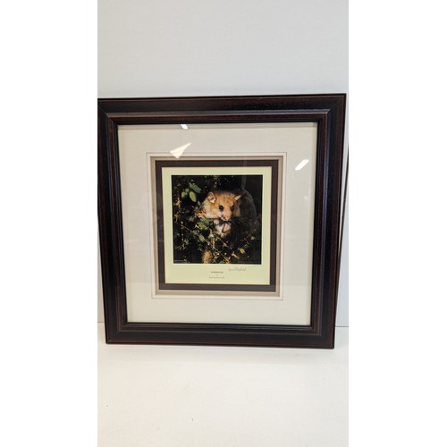 395 - A Signed Limited Edition Print of a Dormouse By David Shepherd 1387/1500