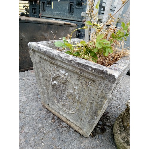 71B - Square Concrete Planter with Trellis Attached and Concrete Sack Planter