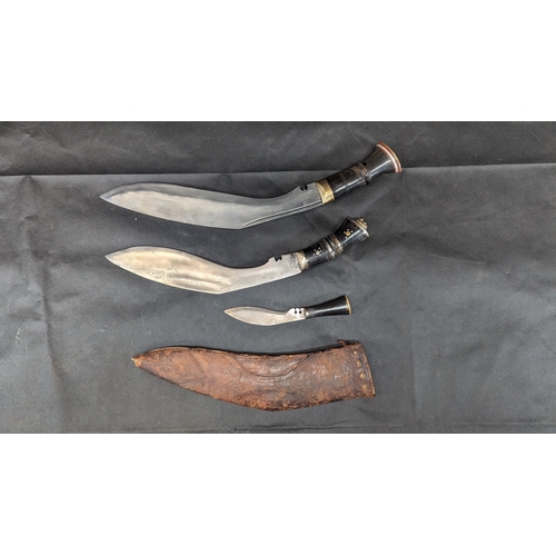 1631 - 2 Authentic Gurkha Nepalese Bone Handled Kukri Knives with Brass Pommels. One with Wooden and Leathe... 