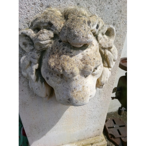 5 - A Stone Water Feature with Lions Head.