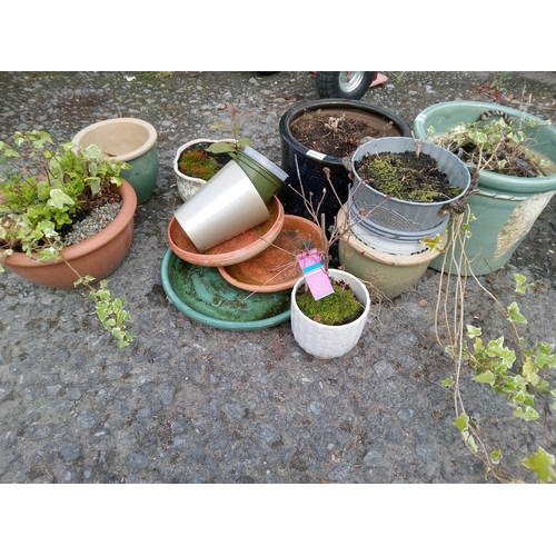 32 - Selection of Pots and Saucers.