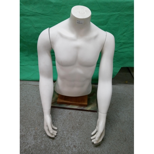 338B - A Male Torso Manakin