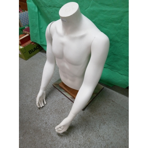 338B - A Male Torso Manakin