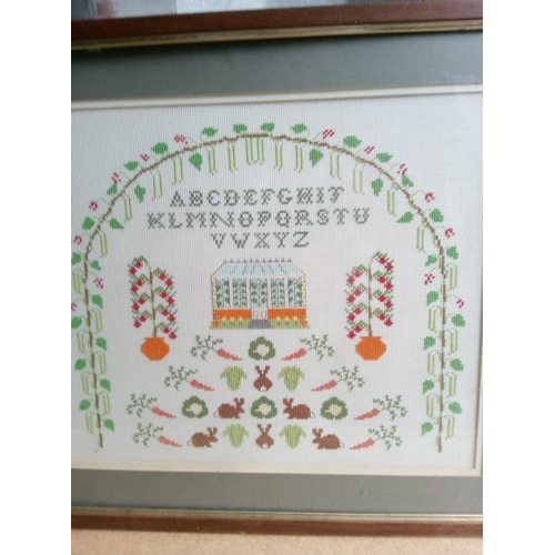 484 - A Cross Stitch Sampler, 50cm x 45cm.