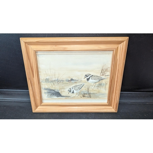 542 - An Original Watercolour of Plovers.