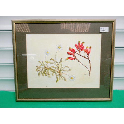 545 - Specimen Style Watercolour Painting of Flowers. 46cm x 37cm.