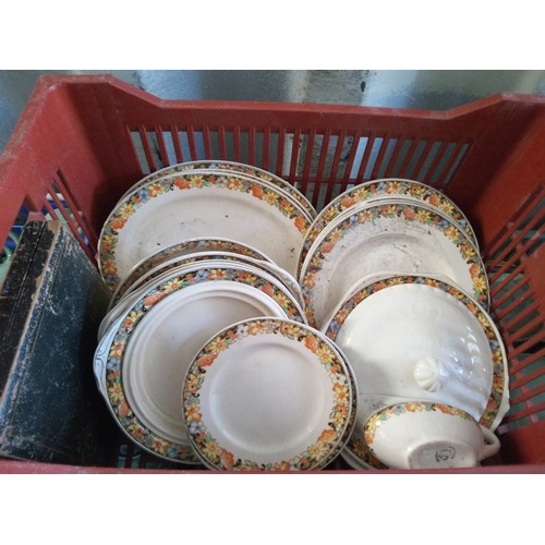 253 - Patterned China Dinner Service '  Design named Ivory'  ( NOT IVORY )