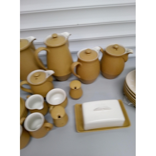 248 - Quantity of Denby Ode including 6 Oval Plates, 2 Large Coffee Pots, 2 Medium Coffee Pots, 1 Small Co... 