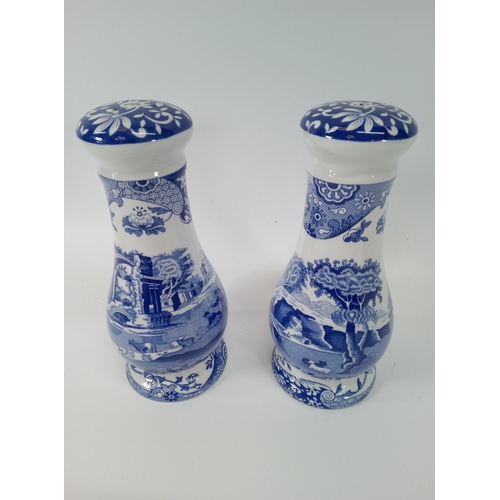 685 - Spode Italian Design Blue and White Salt and Pepper Set 14cm High.