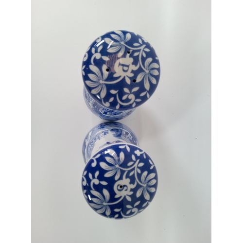 685 - Spode Italian Design Blue and White Salt and Pepper Set 14cm High.