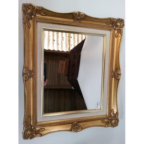 234 - Rectangular Mirror with Gilt Frame. 58cm x 40cm.