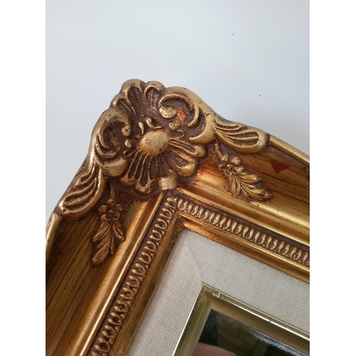 234 - Rectangular Mirror with Gilt Frame. 58cm x 40cm.