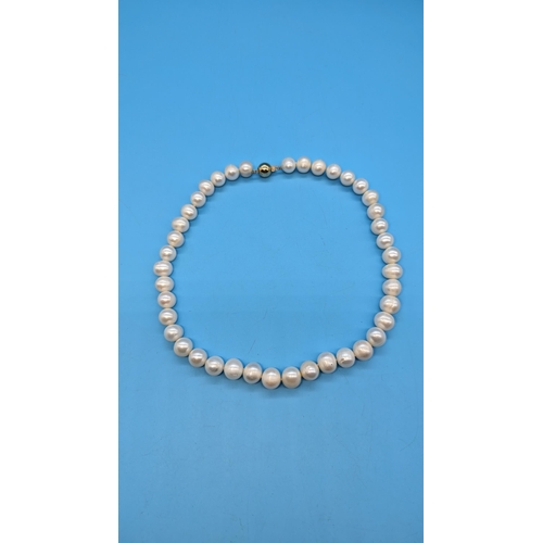 488 - A string of white freshwater cultured pearls with a 9ct yellow gold ball clasp.  18 inches