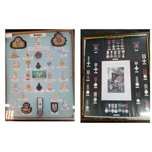 666 - A Collection of Military Badges in a Frame featuring Every Man and Woman that served in the Falkland... 