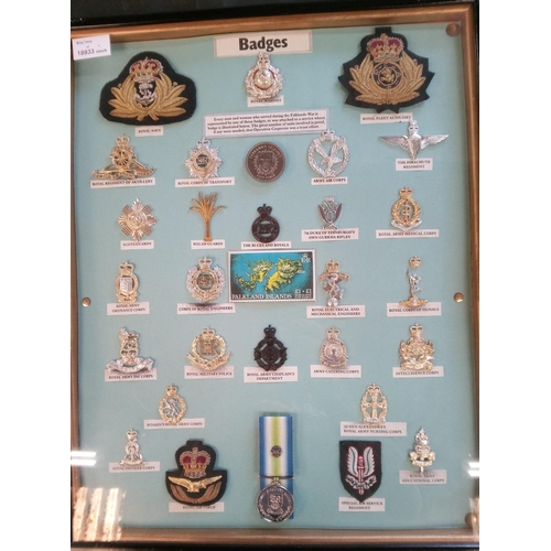 666 - A Collection of Military Badges in a Frame featuring Every Man and Woman that served in the Falkland... 