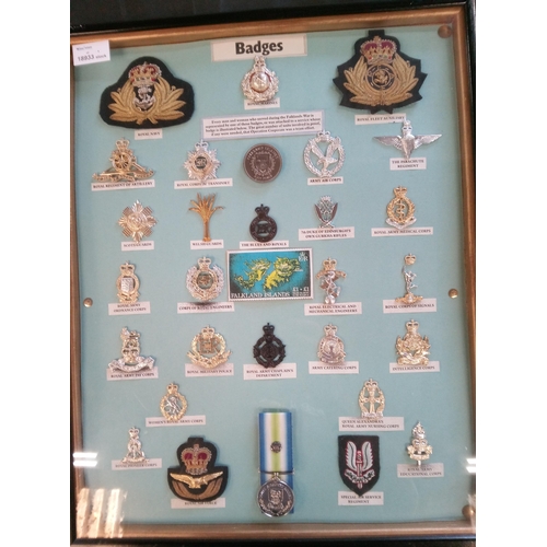 666 - A Collection of Military Badges in a Frame featuring Every Man and Woman that served in the Falkland... 