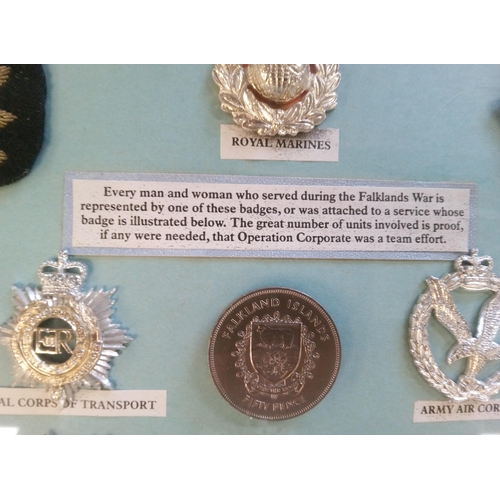 666 - A Collection of Military Badges in a Frame featuring Every Man and Woman that served in the Falkland... 