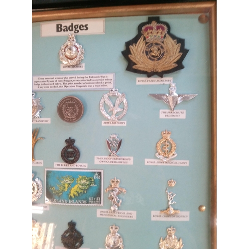 666 - A Collection of Military Badges in a Frame featuring Every Man and Woman that served in the Falkland... 