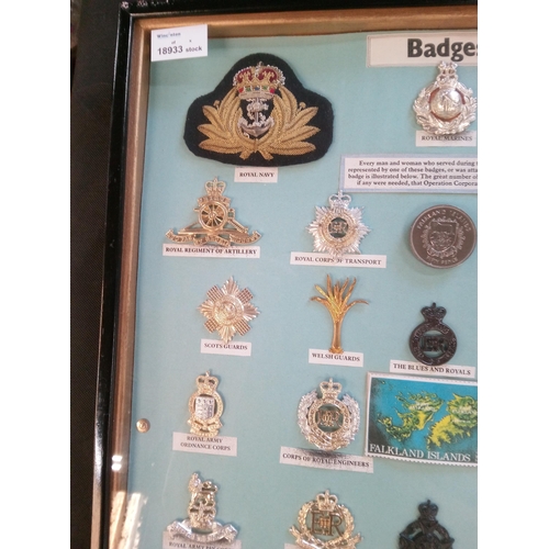 666 - A Collection of Military Badges in a Frame featuring Every Man and Woman that served in the Falkland... 