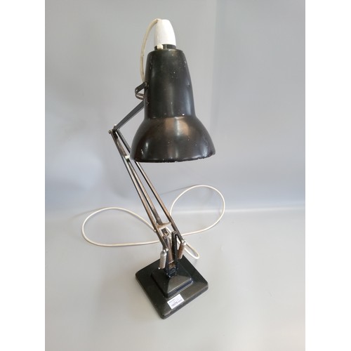 613 - Herbert Terry and Sons Anglepoise Lamp.