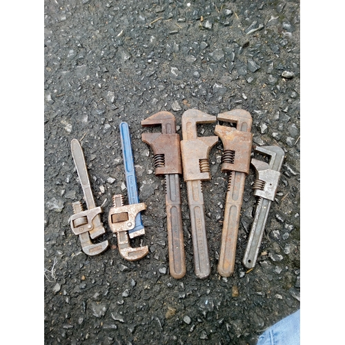 115A - 6 Assorted Stillson Tools.