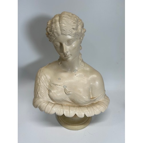 446 - Bust of a Young Lady. 33cm H x 26cm W x 16cm D.