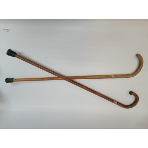 1227 - A Pair of .925 Collared Walking Sticks.