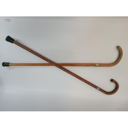 1227 - A Pair of .925 Collared Walking Sticks.