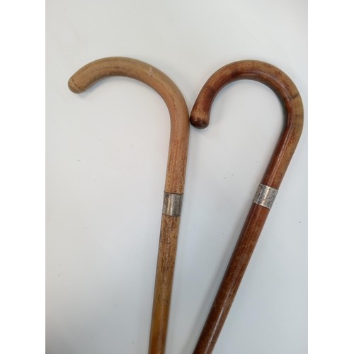 1227 - A Pair of .925 Collared Walking Sticks.